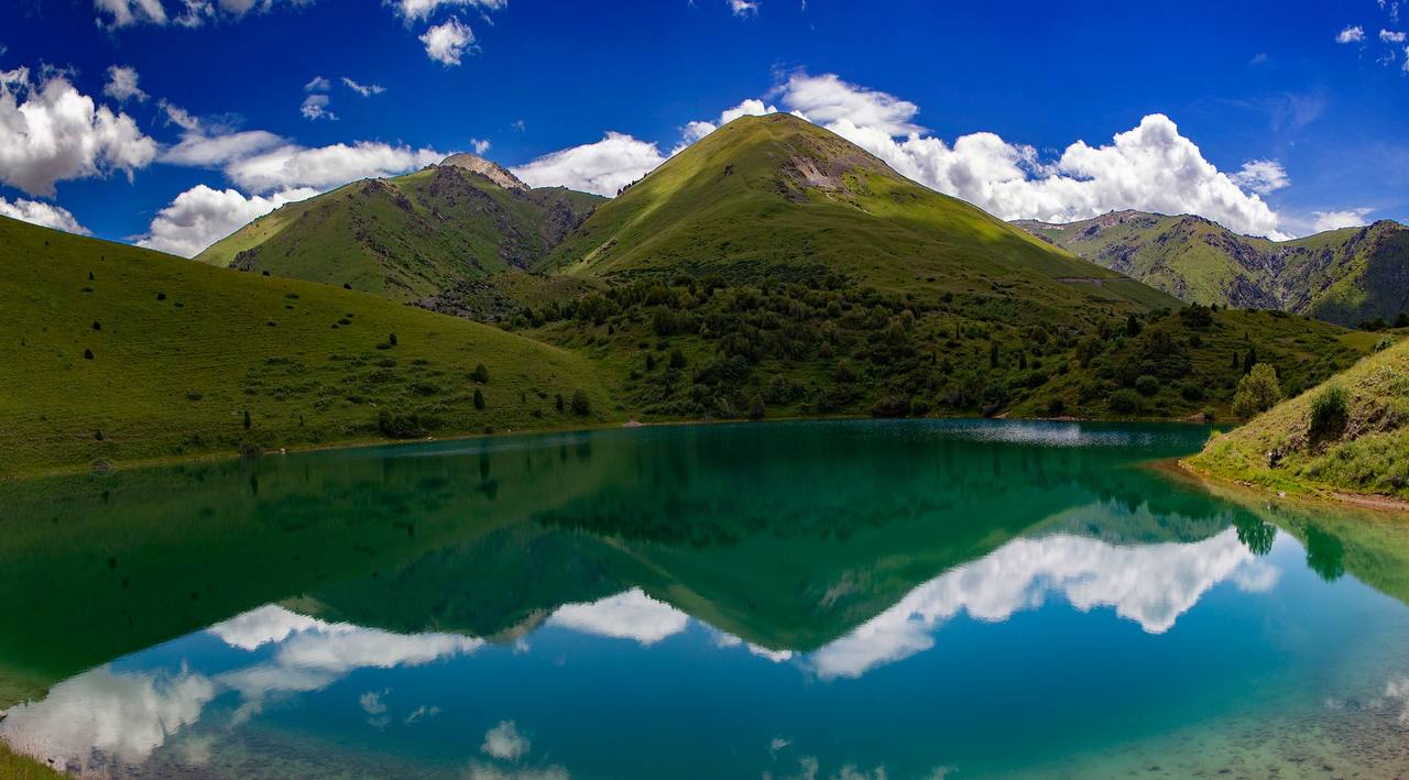 Жағажайдағы жалаңаш письки жеке фотосурет